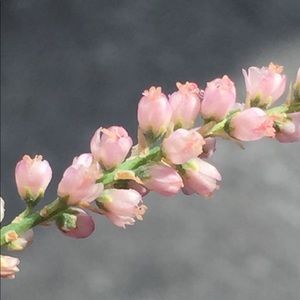 Meet your Posher, Karina